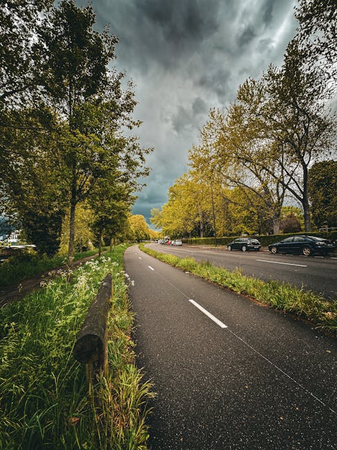 A long, straight urban street lined with mature trees showing green and yellow foliage on both sides, with a paved cycle lane or footpath on the left separated by a wooden post and grassy verge. On the right side, there are several parked cars facing away from the viewer, with some moving vehicles further down the road. The sky overhead is cloudy with dark, stormy clouds, suggesting a weather update. The scene is well-lit with natural light, and in the foreground, outside a property, there are numerous cardboard boxes, packing materials, and furniture blankets indicating a home relocation or furniture transport process. A person or team from Man with Van Upton Park may be involved in the loading or unloading activity across the curbside, with the focus on careful handling and safe transportation of household items during the moving process. This scene captures elements typical of house removals on Green Street and surrounding roads, illustrating the logistics and preparation involved in a professional moving service.