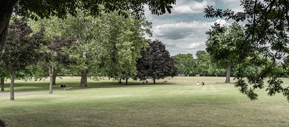 A wide view of a park with a manicured grassy area and a variety of mature trees with green and dark purple foliage, some with overhanging branches in the foreground. The sky is partly cloudy with patches of blue visible through the clouds. In the background, a few people are sitting on benches and the grass, indicating a peaceful outdoor setting. The scene is well-lit with natural daylight, showcasing the environment where house removals and furniture transport services, provided by Man with Van Upton Park, may take place during the moving process, such as loading or staging outside a property near the park.